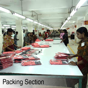 Packing Section